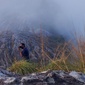User picture for Sujith Cheeral
