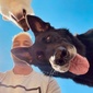 User picture for Adi M