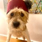 User picture for Jon Parker Lee