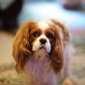 User picture for William Meeks