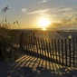 User picture for Scott Magnuson