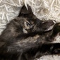 User picture for Ivan Davydov