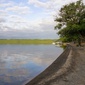 User picture for Clive Bryson