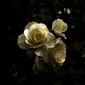User picture for Christophe Baldy