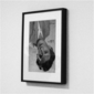 User picture for Piero D
