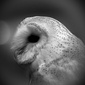 User picture for Jonathan Coulson