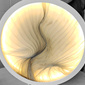User picture for THIERRY R