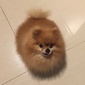 User picture for Raymond Arief