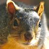 User picture for Dennis Hays
