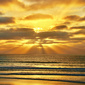 User picture for David Evans