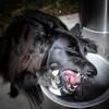 User picture for Michael Brentlinger