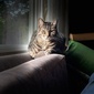 User picture for Jay Carnes