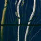 User picture for kostas sidiropoulos
