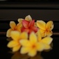 User picture for Fransiskus Boli Wawin
