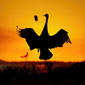 User picture for Arthur Morris
