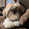 User picture for Timothy Twining