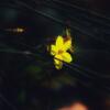 User picture for 永良 李