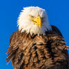User picture for scott h