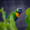 User picture for Jacobus Geldenhuys