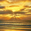 David Evans's picture
