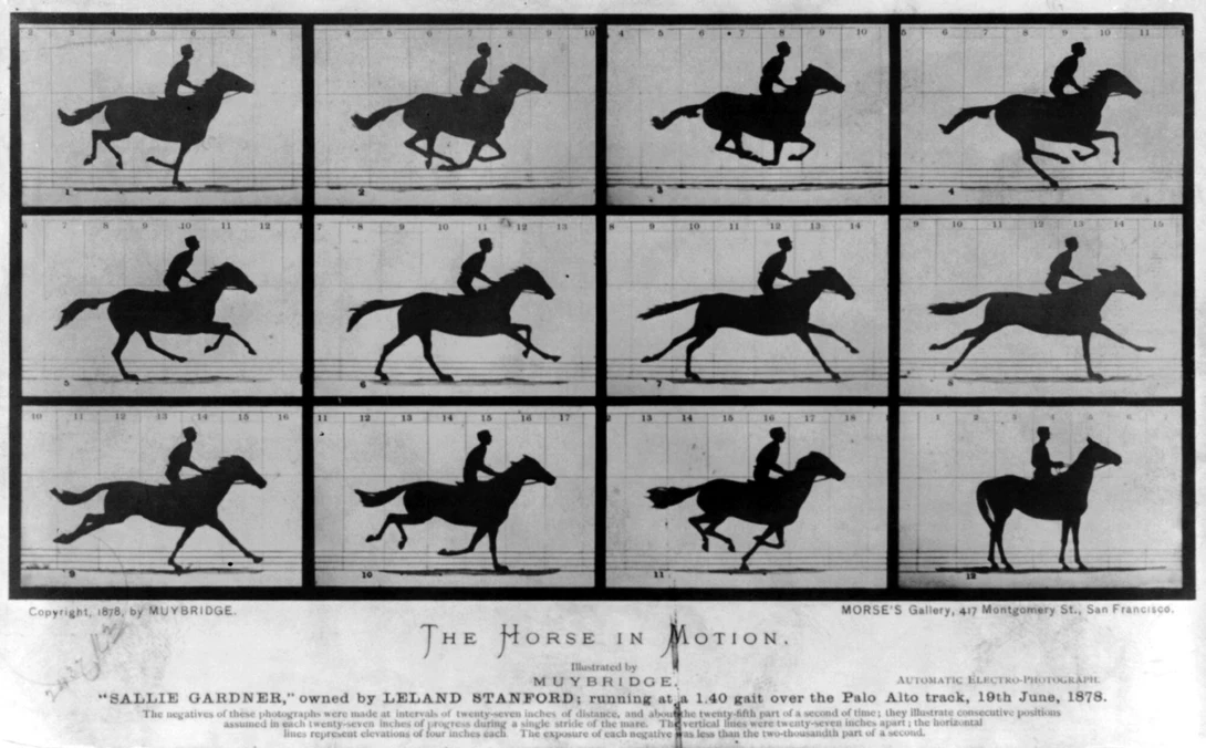The Horse In Motion