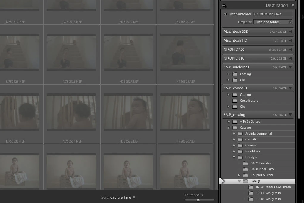Lightroom import destination dialog