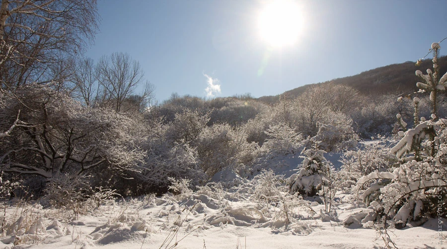 Winter landscape