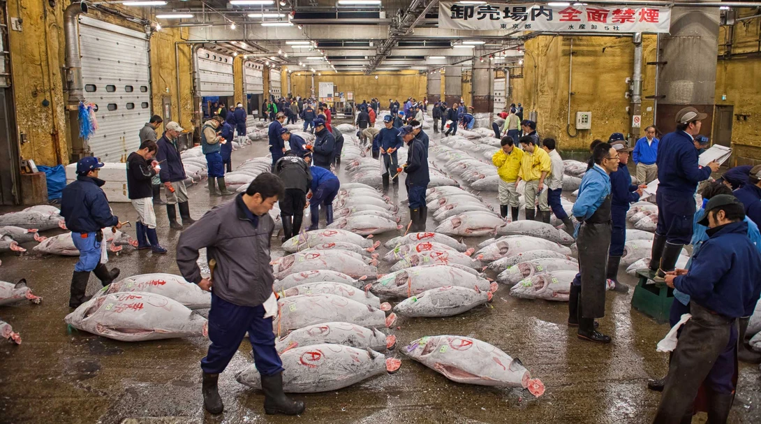 Fish Market, Tokyo