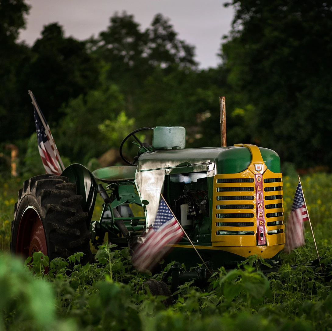 The Oliver 88 tractor I passed by on the way to and from work every day for years. On this particular day, it looked fetching, with its American flags and crops growing all around it. There are not many days where all the elements came together like this.
