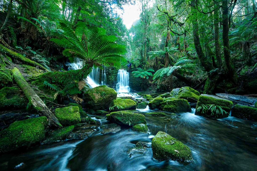 waterfalls, tasmania