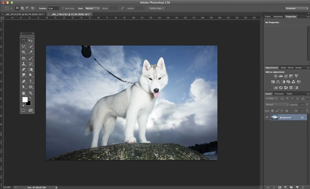 remove dog leashes in Photoshop - Step 1