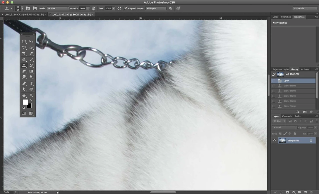 remove dog leashes - Step 2