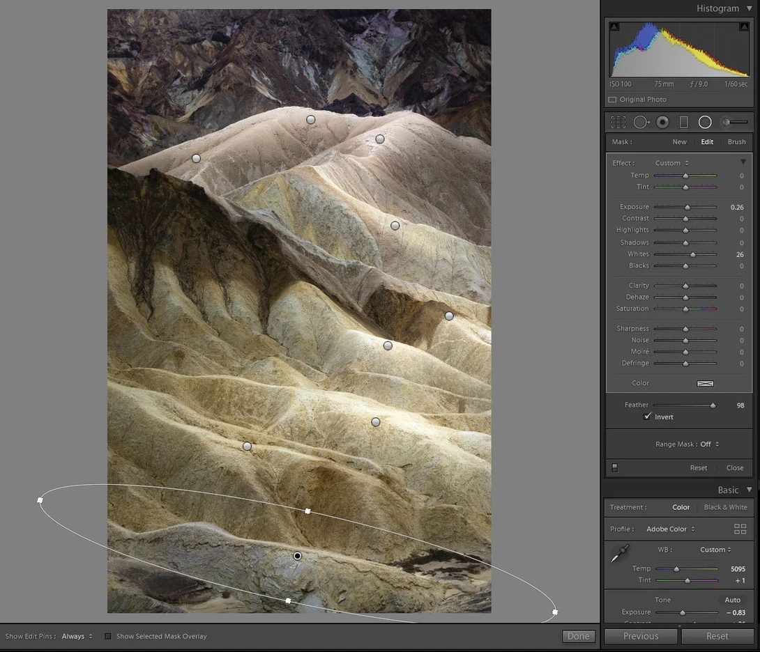 all radial filters applied