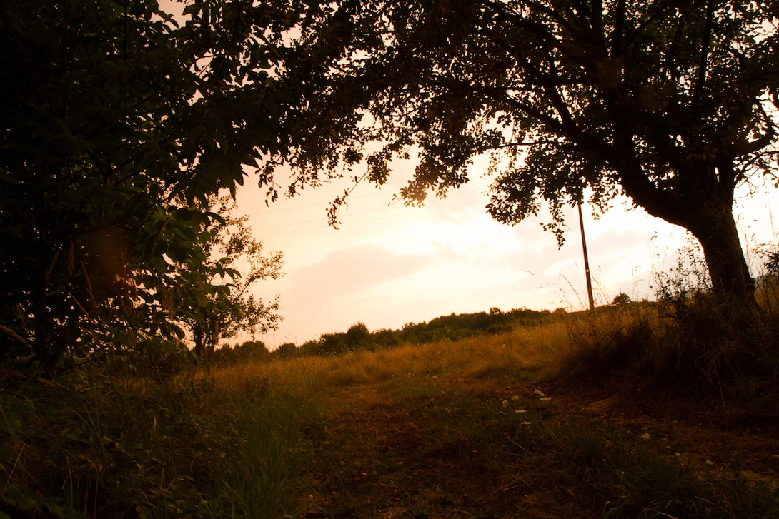 After basic contrast and saturation similar to the JPEG rendering by the camera.