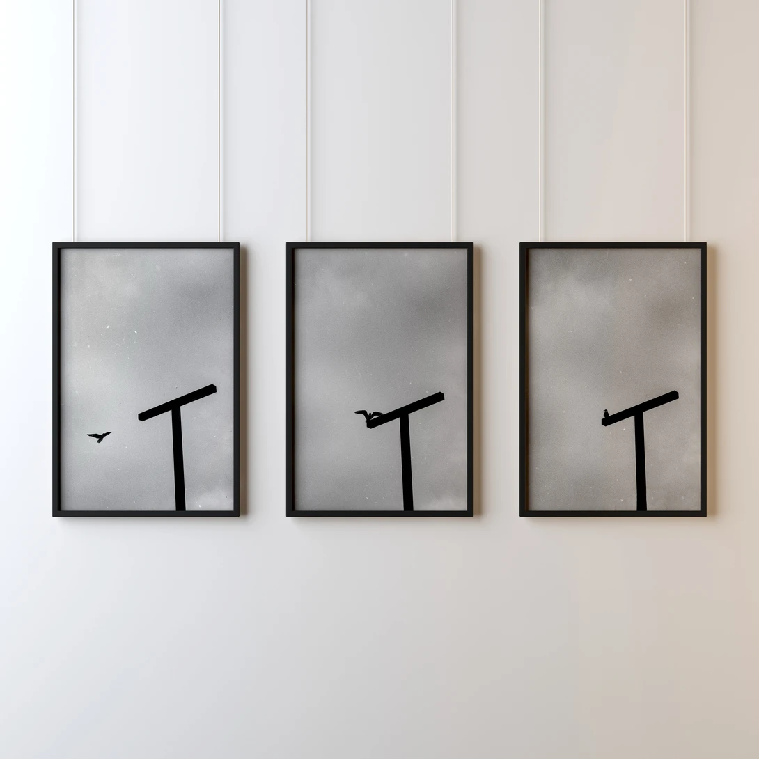 A triptych of monochrome photographs on a white wall