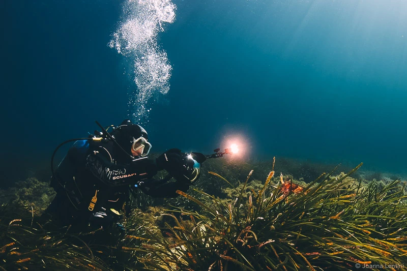 underwater housing, underwater photography