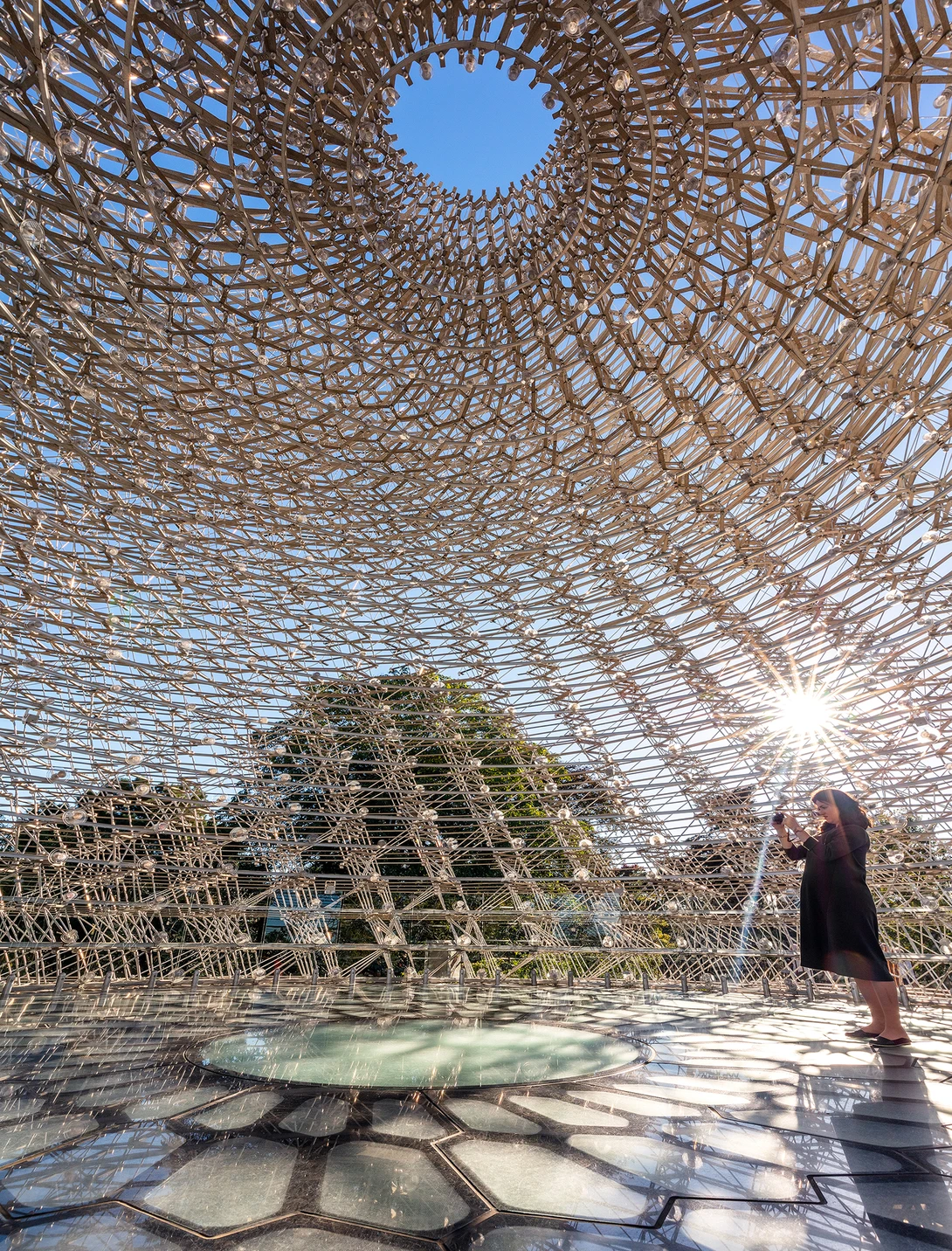 The Hive, Kew Gardens