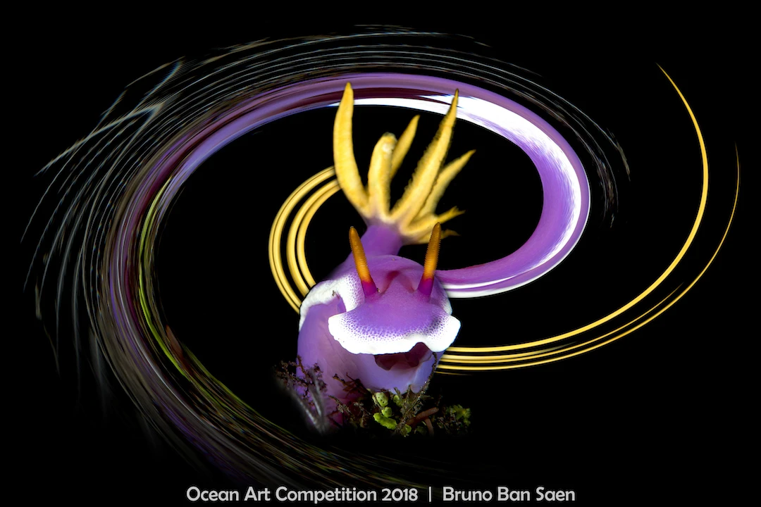 ocean art competition, underwater photography