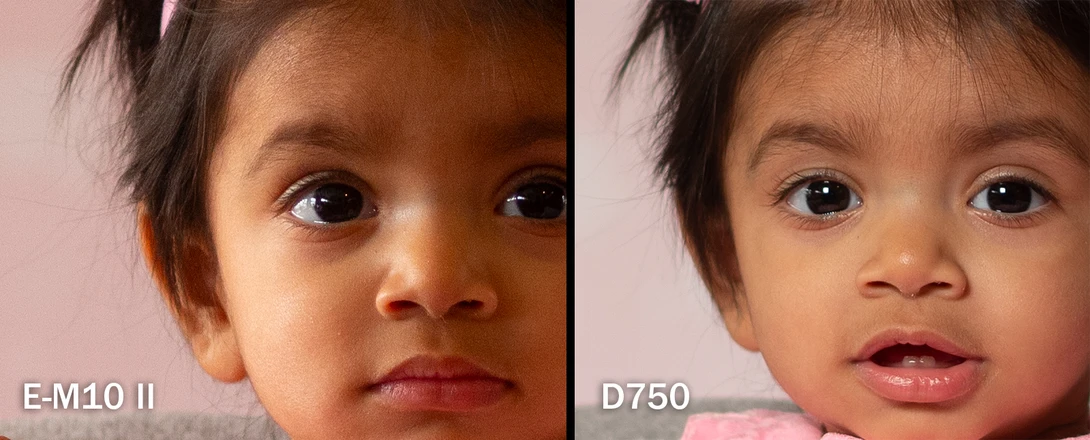 The Olympus E-M10 Mark II vs. the D750 at 100 percent. The D750 produces a cleaner image all around, even without the lighting advantage (which it has in this shot).