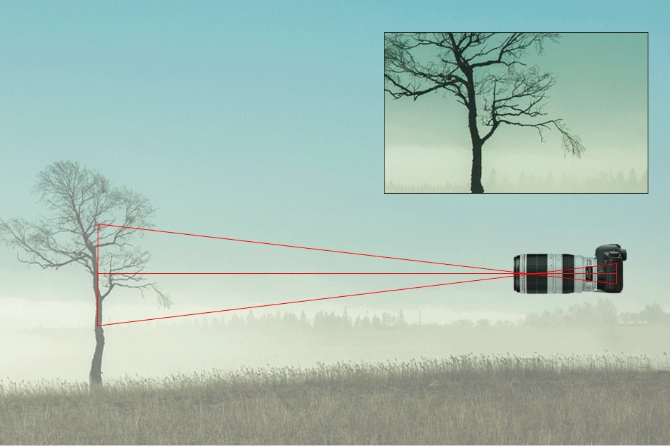The same motion or vibration becomes more visible with a longer focal length. Besides the magnification of the subject, the motion will also be magnificated.