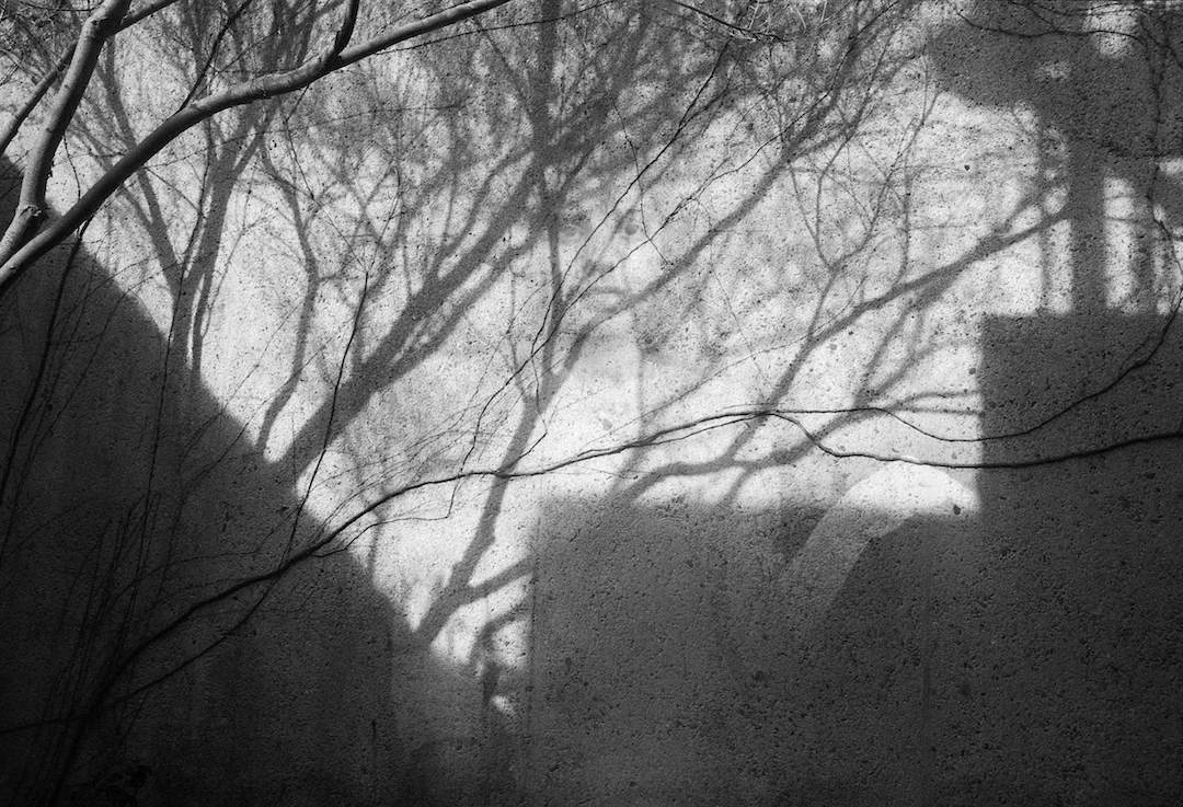 lisa folino, arrow of time