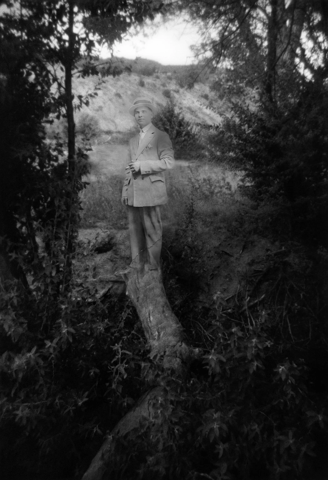 lisa folino, arrow of time