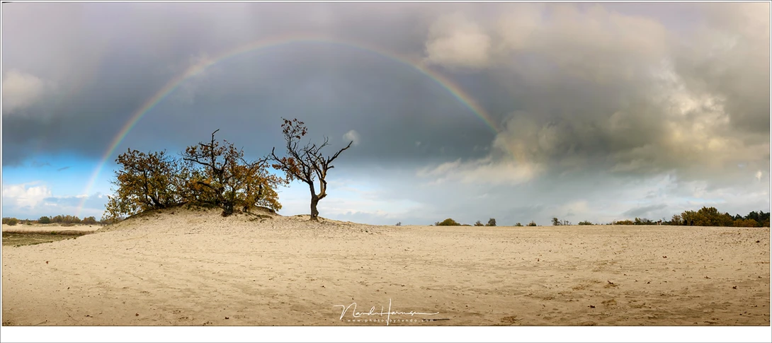When the sun is low at the horizon, the rainbow is reaches high into the sky (Nikon D810 with 35mm | ISO64 | f/8 | 1/60 | eight vertical images stitched)