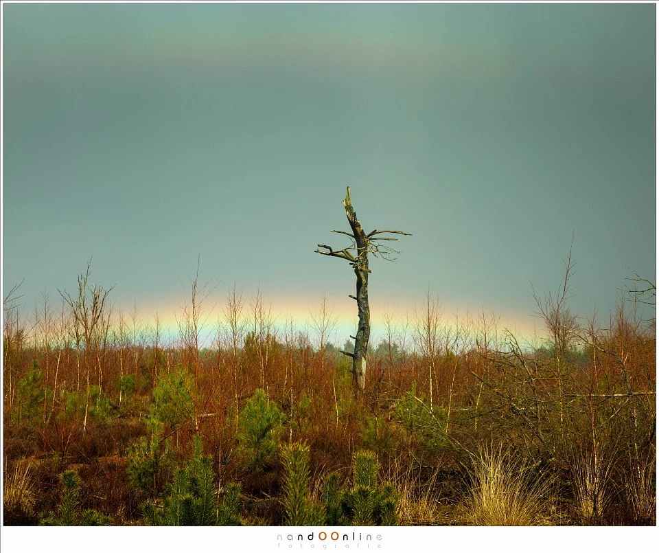 With the sun high in the sky, a rainbow will appear very low at the horizon. A secondary rainbow can be seen also (Canon EOS 5D3 with 70mm | ISO200 | f/8 |1/640)