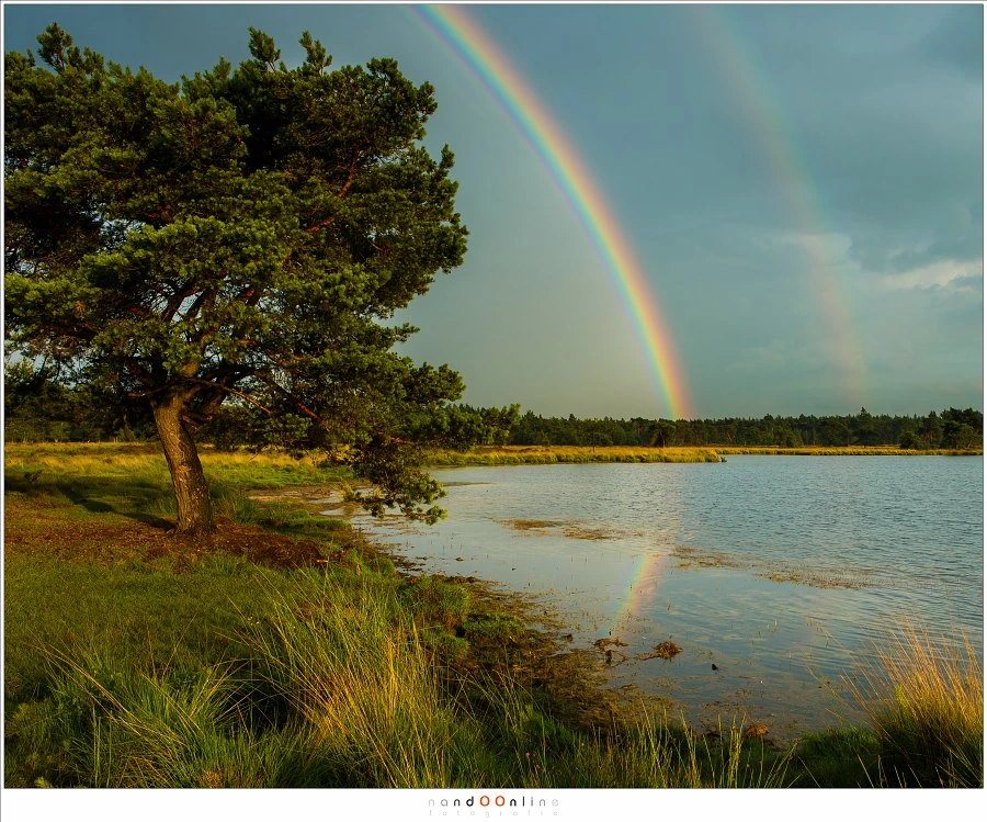 A bright primary rainbow together with a secondary that has inverted colors. Both can also be seen as a reflection in the water. The primary has some fringes. (Canon EOS 5D3 with 28mm | ISO100 | f/9 | 1/60)
