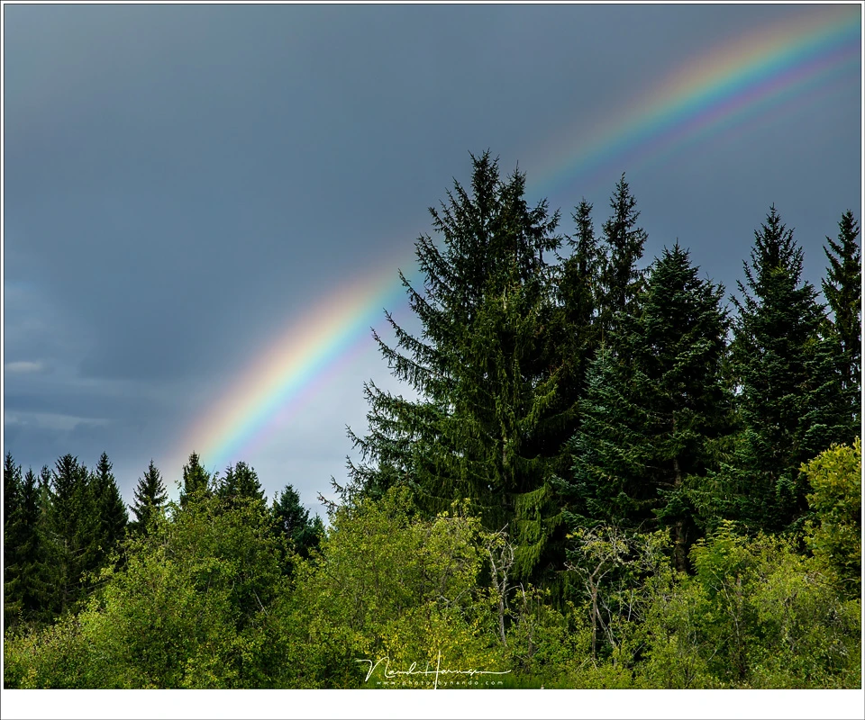 A great example of supernumerary bows, at the top right side. These fringes can be visible when the raindrops are very similar in size. (Canon EOS 5D4 with 70mm | ISO125 | f/8 | 1/160)