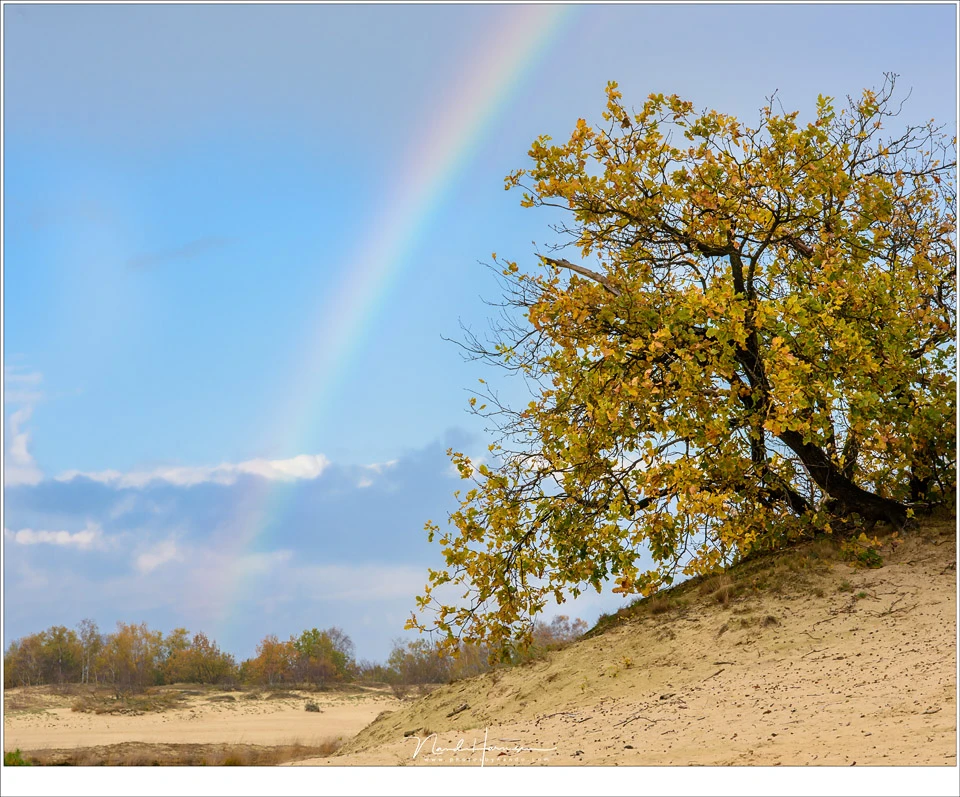 A picture of the rainbow is rarely interesting. Try to integrate it into a landscape photo (Nikon D810 with 85mm | ISO160 | f/11 | 1/100)