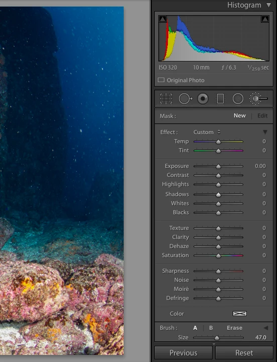 adobe, lightroom, joanna lentini, backscatter