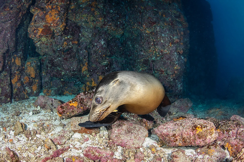 adobe, lightroom, joanna lentini, backscatter