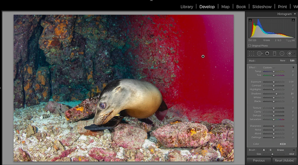 lightroom, texture tool, joanna lentini